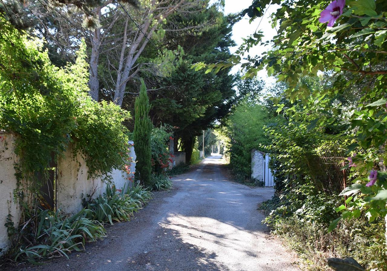 La Maison Des Invites Pernes-les-Fontaines Εξωτερικό φωτογραφία