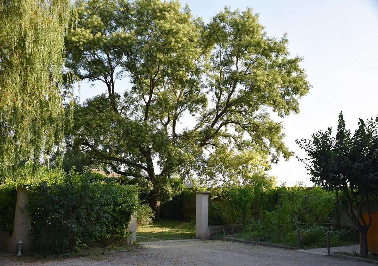La Maison Des Invites Pernes-les-Fontaines Εξωτερικό φωτογραφία